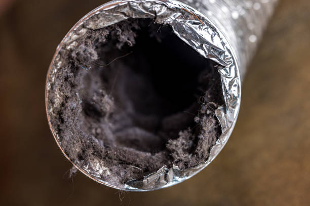 Best HVAC System Cleaning  in Clinton, MD